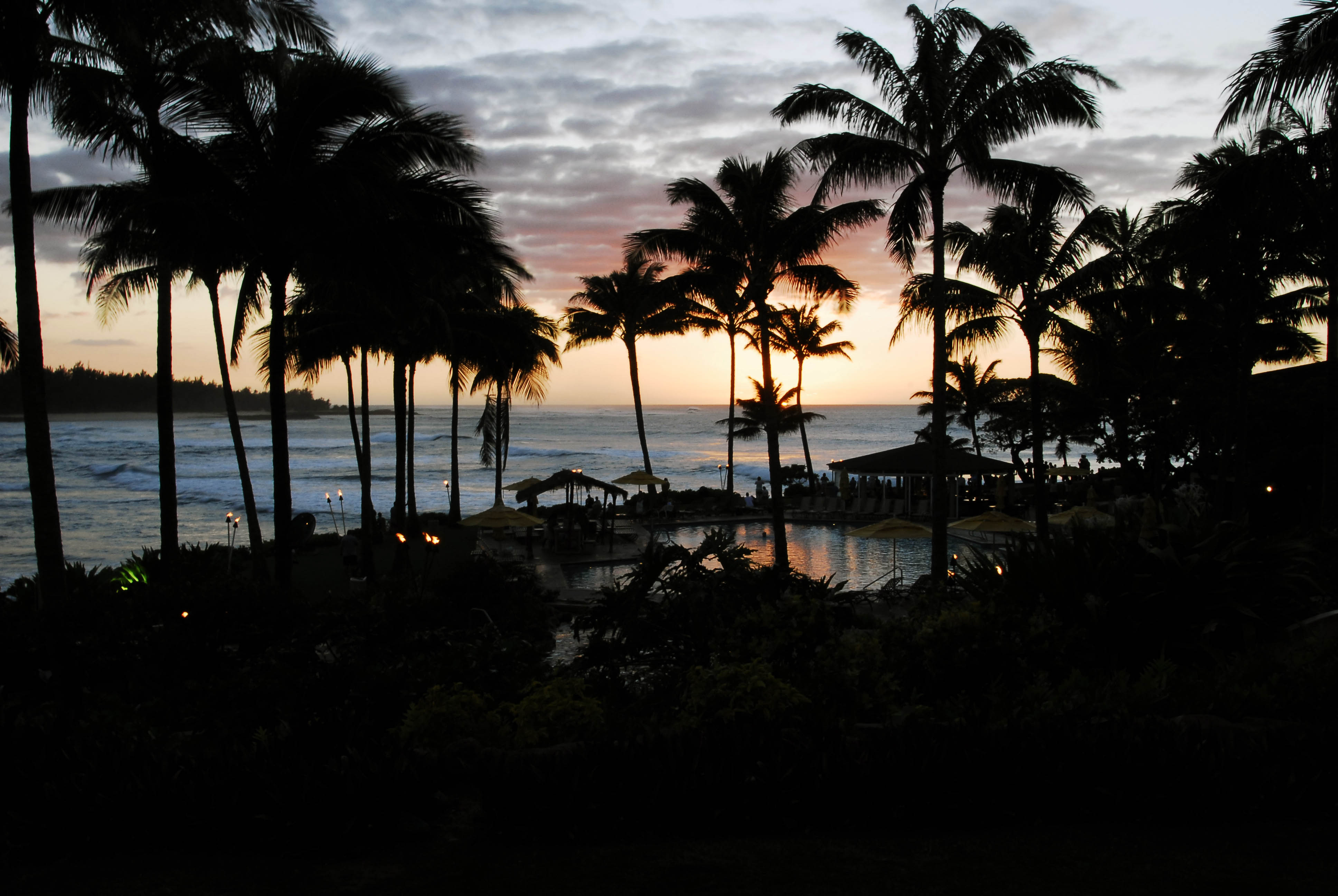 Tropical Paradise Retreat