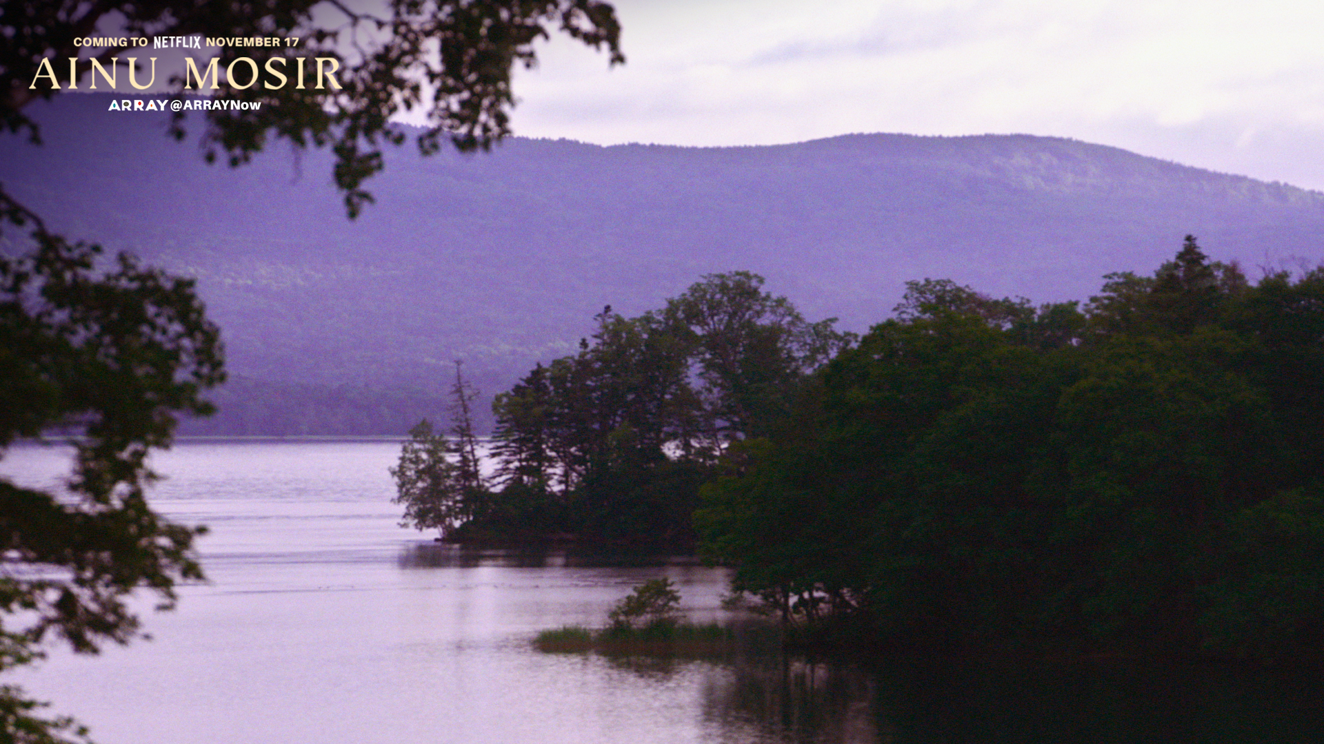 Purple Mountain Serenity