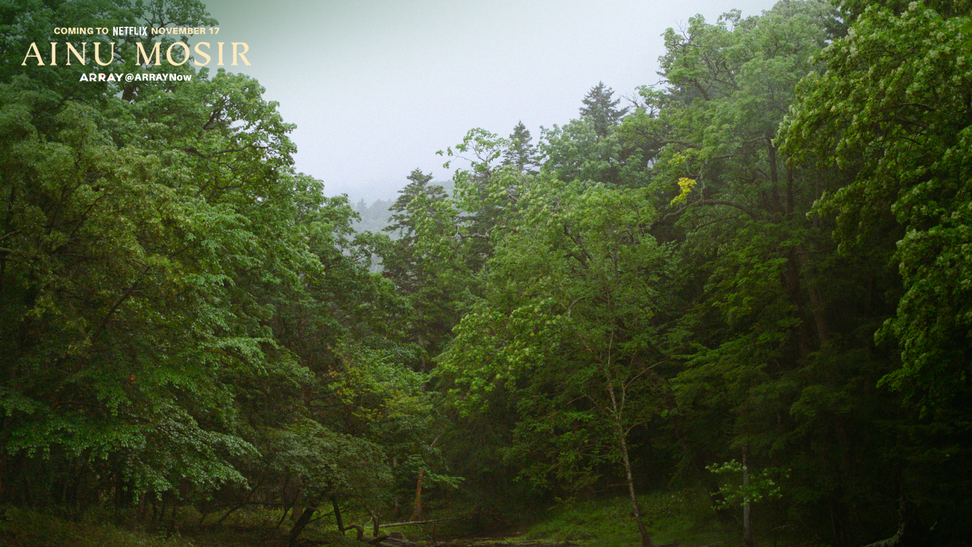 Misty Ainu Forest Sanctuary