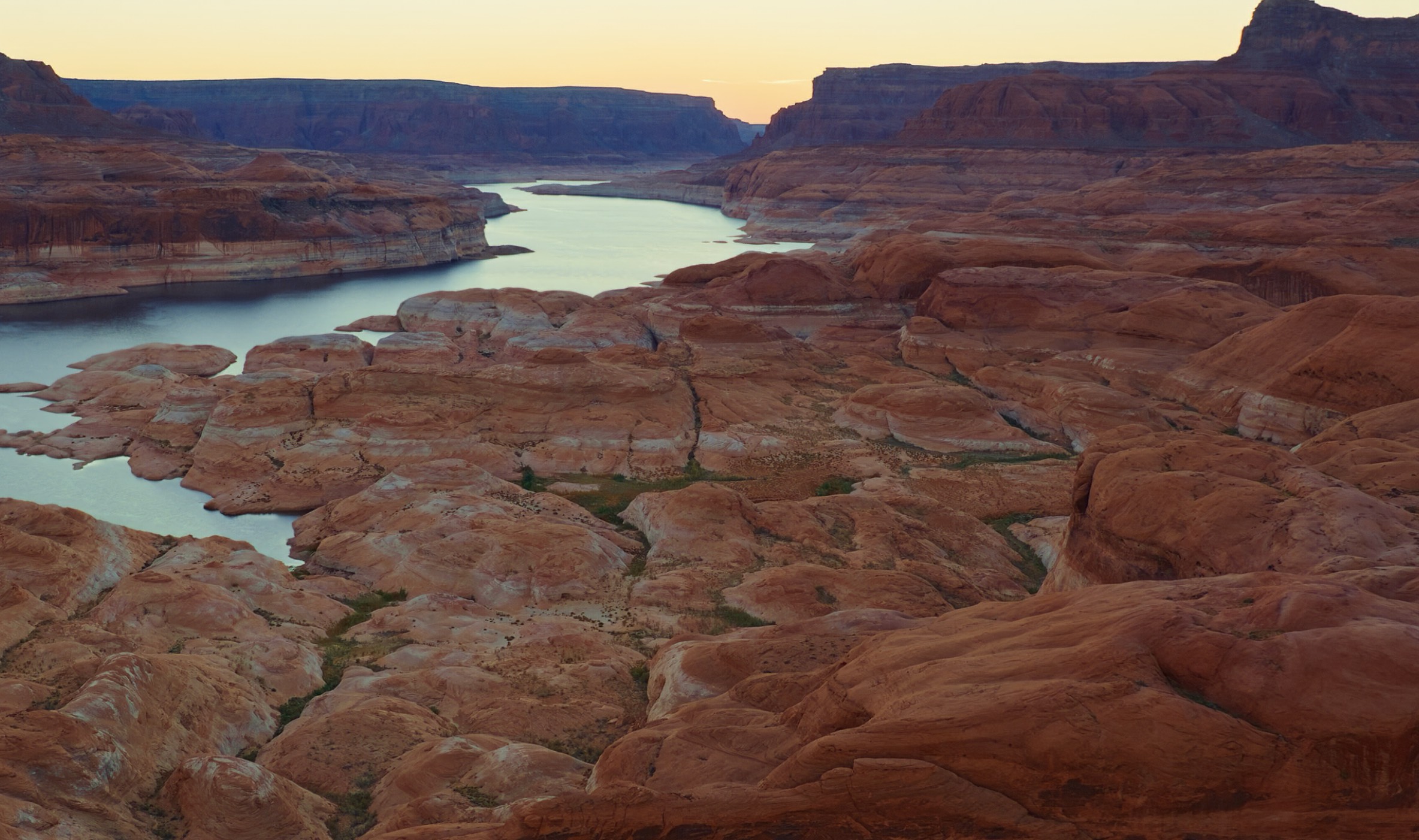 Cyrus profile banner image