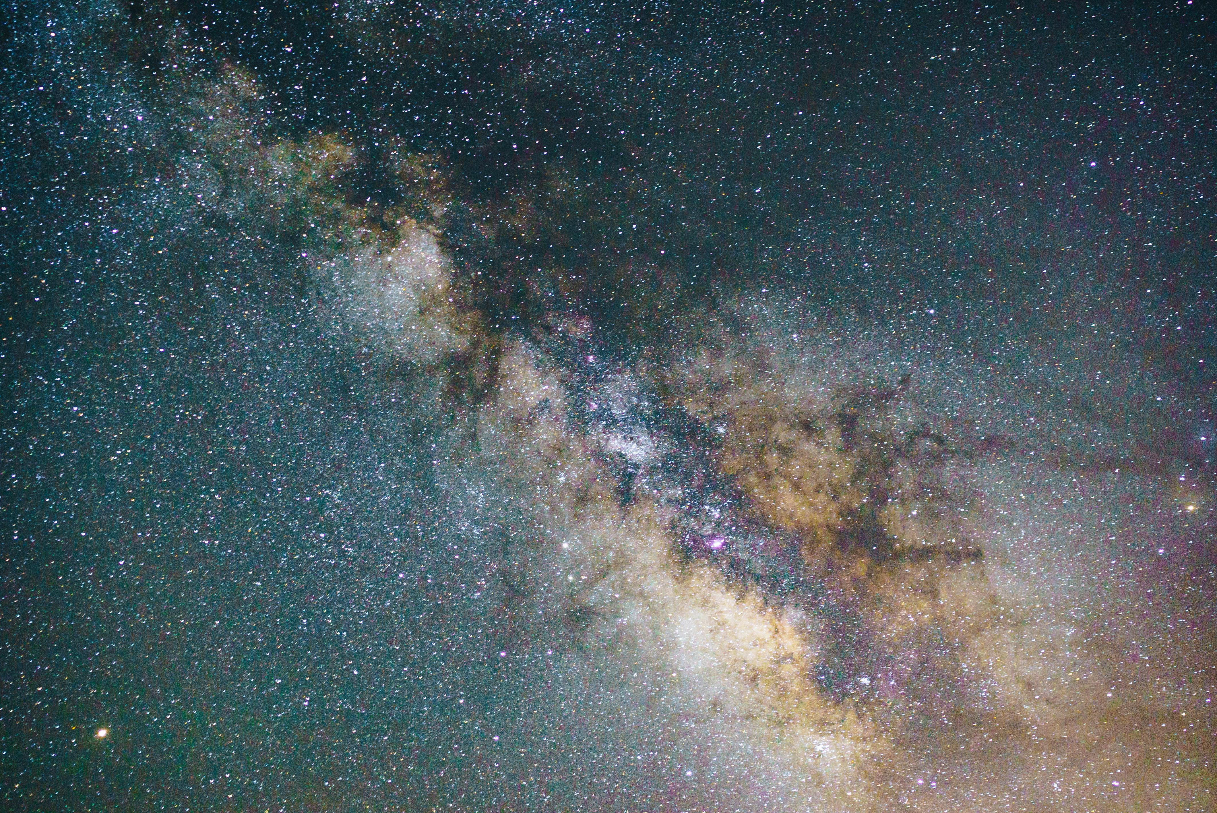 wikee profile banner image